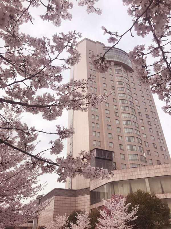 Xiongchu International Hotel Wuhan Exterior photo