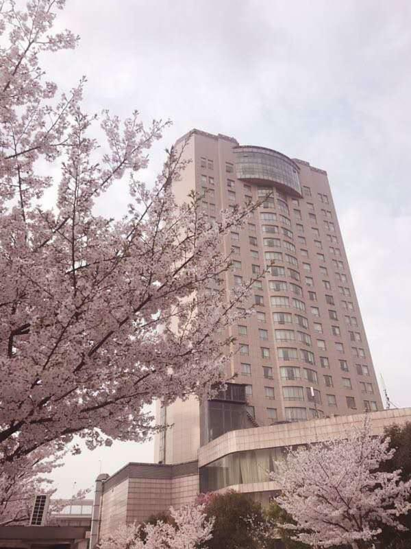 Xiongchu International Hotel Wuhan Exterior photo